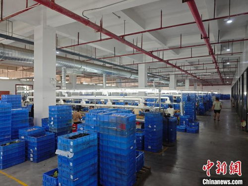 港資企業(yè)在贛扎根，與江西發(fā)展同頻共振，一路繁花技術(shù)開(kāi)發(fā)